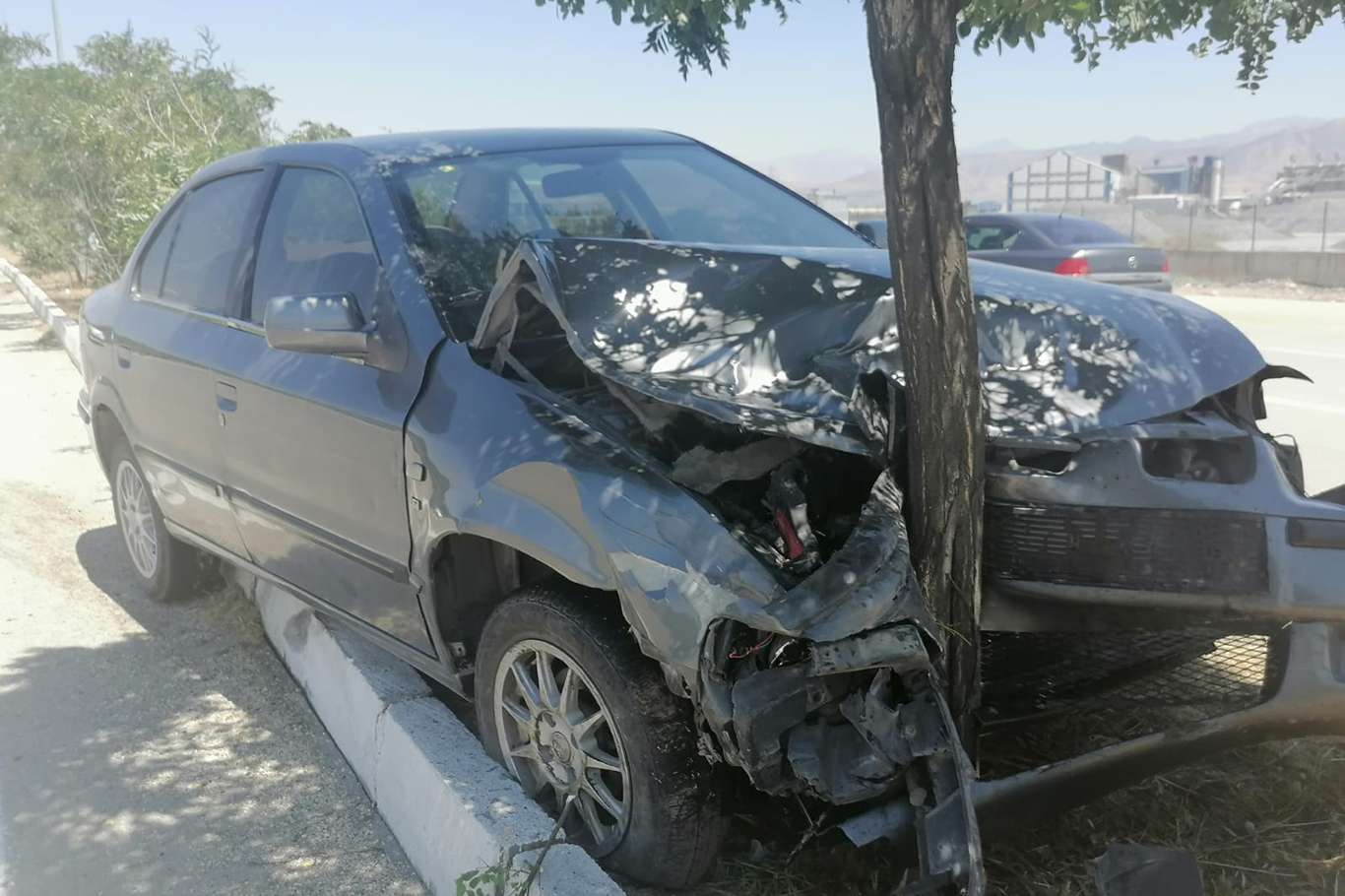 Kontrolünü kaybeden otomobil orta refüjde ağaca çarparak durabildi
